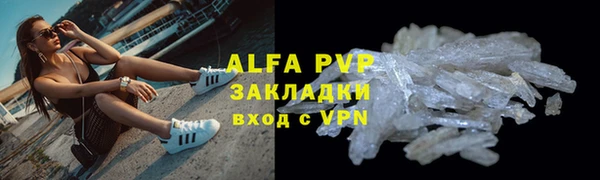 гидра Карпинск