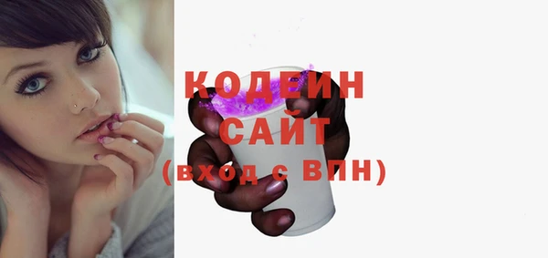 гидра Карпинск