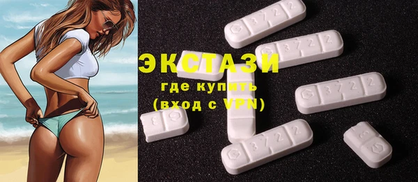 гидра Карпинск