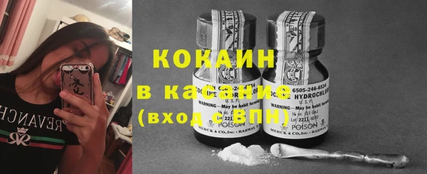 гидра Карпинск